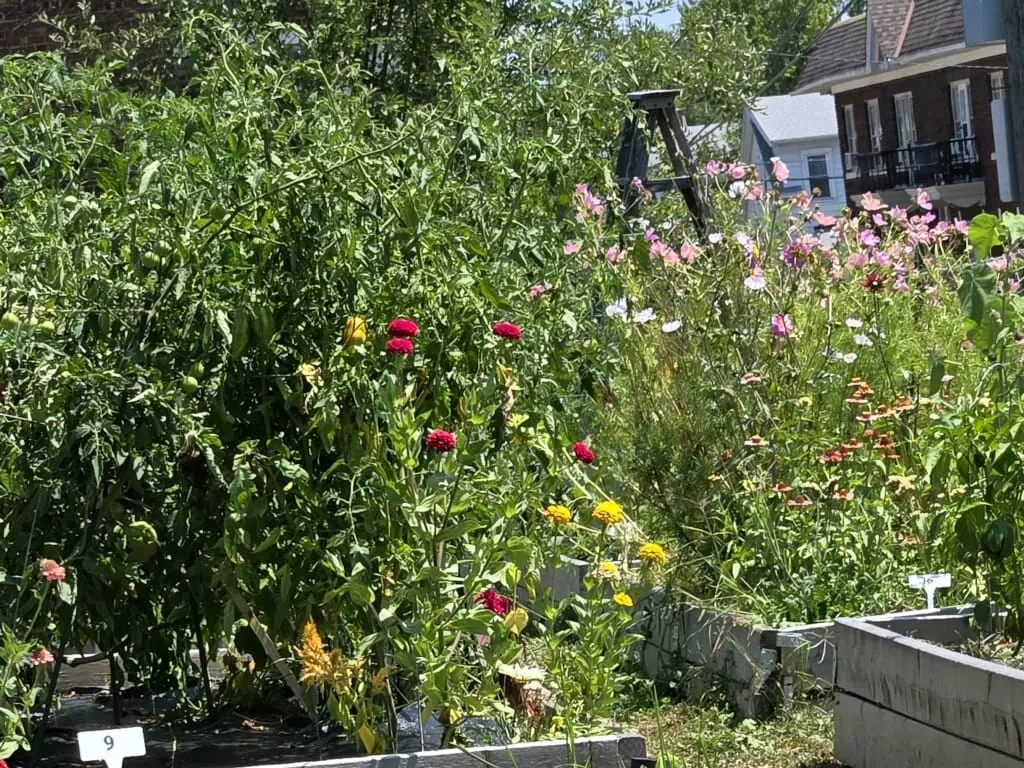 480828950 646003688078256 8548728278506487980 n