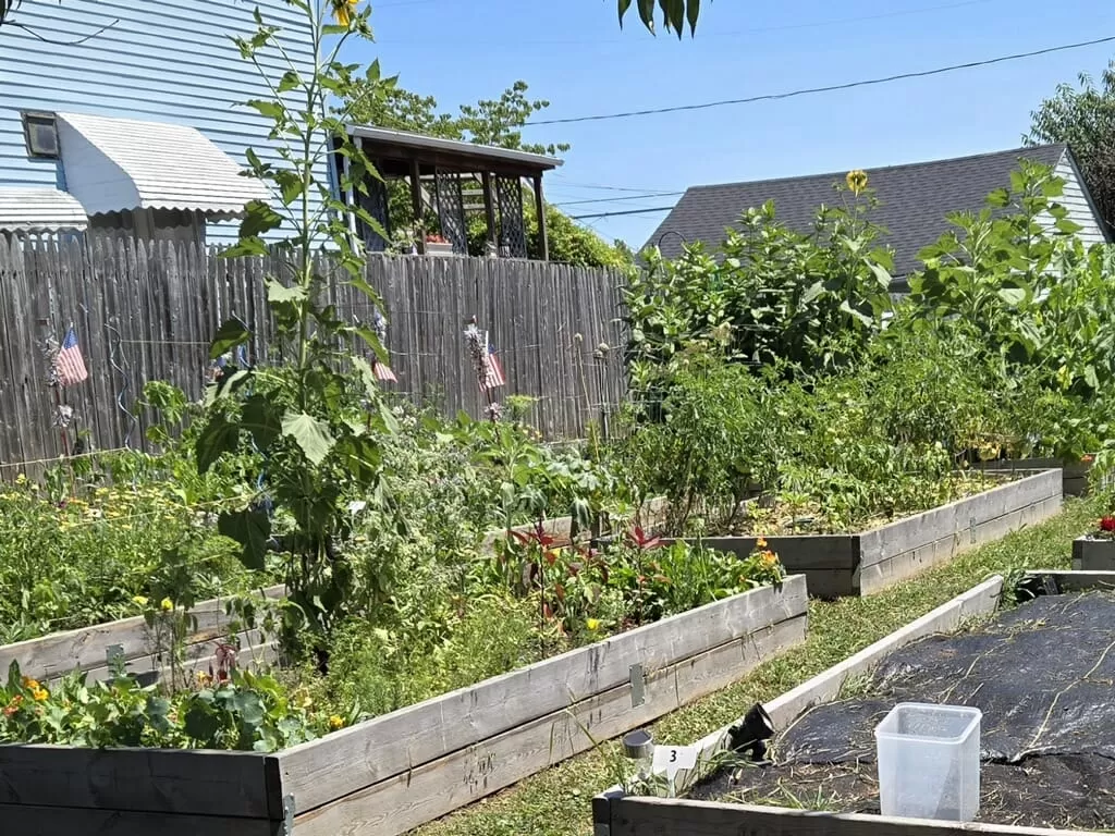 480846363 645999674745324 8476893872125919975 n