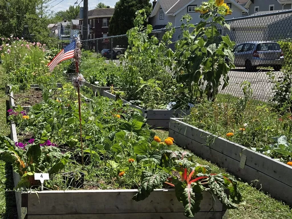 480876530 645999561412002 6145472824297703490 n