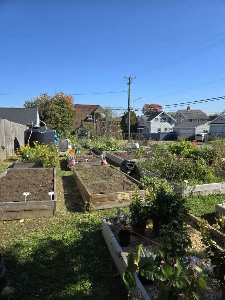 481056235 646862581325700 274877201150053501 n