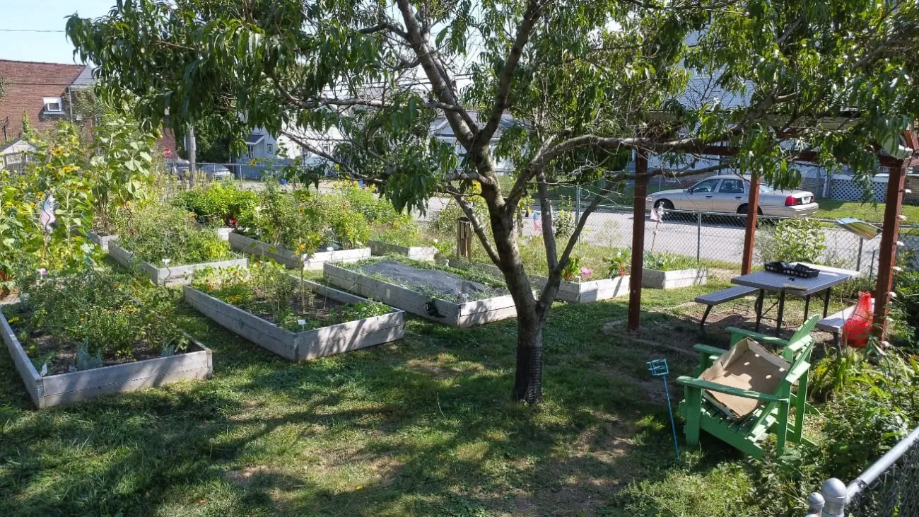 481073015 646501858028439 8630383388638667527 n