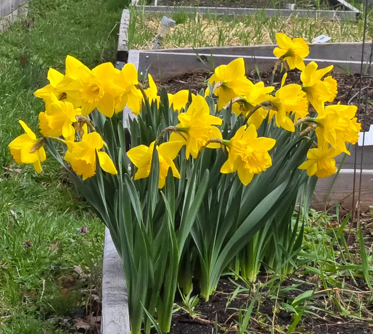 487062752 671023642242927 631196136832424884 n