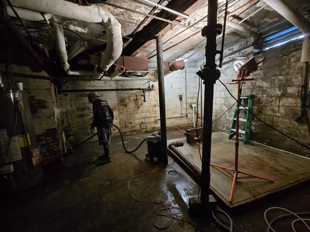 84fe822e 3178 479c b8e1 81ce23acea09